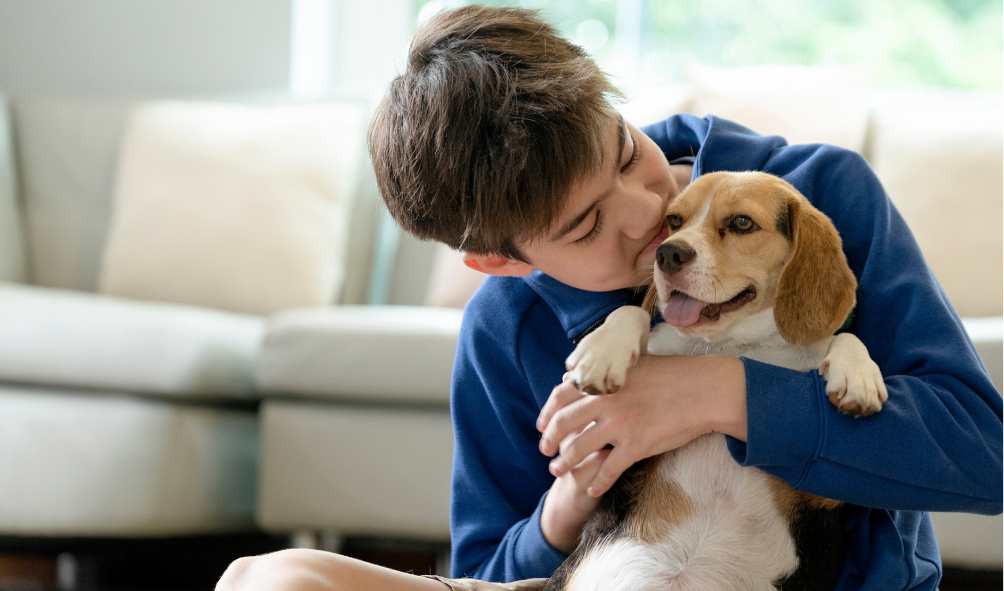 כמה עולה לגדל כלב
